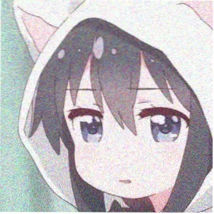 读者白露未晞头像